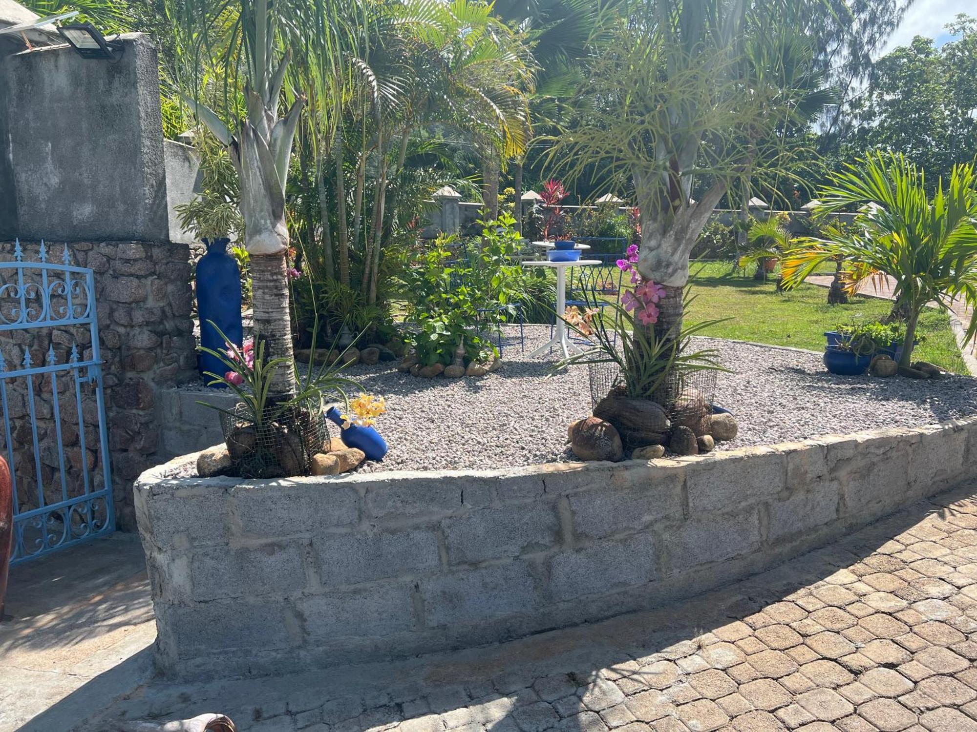 Blu Vista *